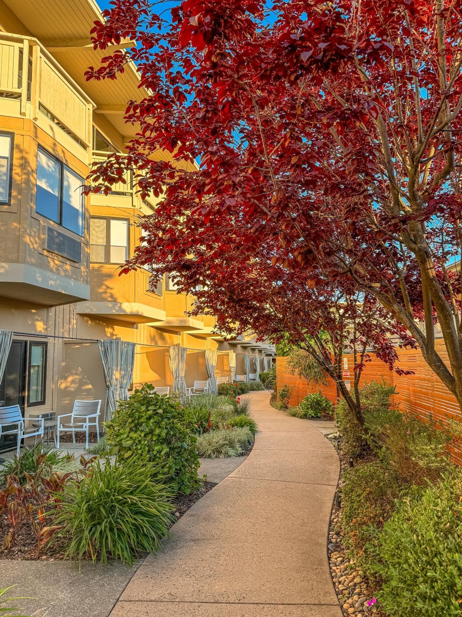 The Lodge At Tiburon Exteriör bild